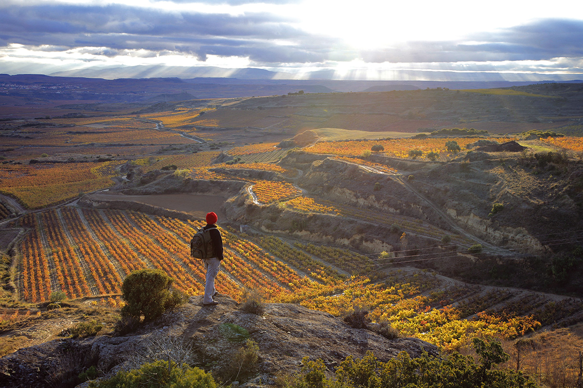 sonsierra landscape